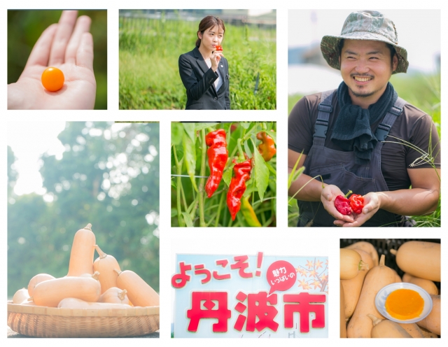 有機野菜栽培の『しんぺ〜農園』へ!